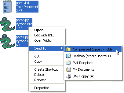 Python deals zip folder