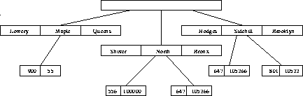 hierarchical database example