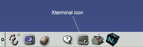 The Xterminal icon at the bottom of the screen